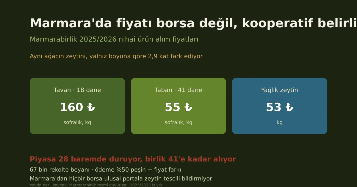 Marmarabirlik alım fiyatları: Marmara'da üreticinin eline geçen para