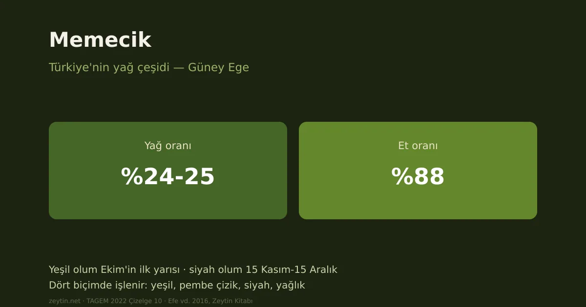 Memecik zeytini: Türkiye'nin yağ çeşidi