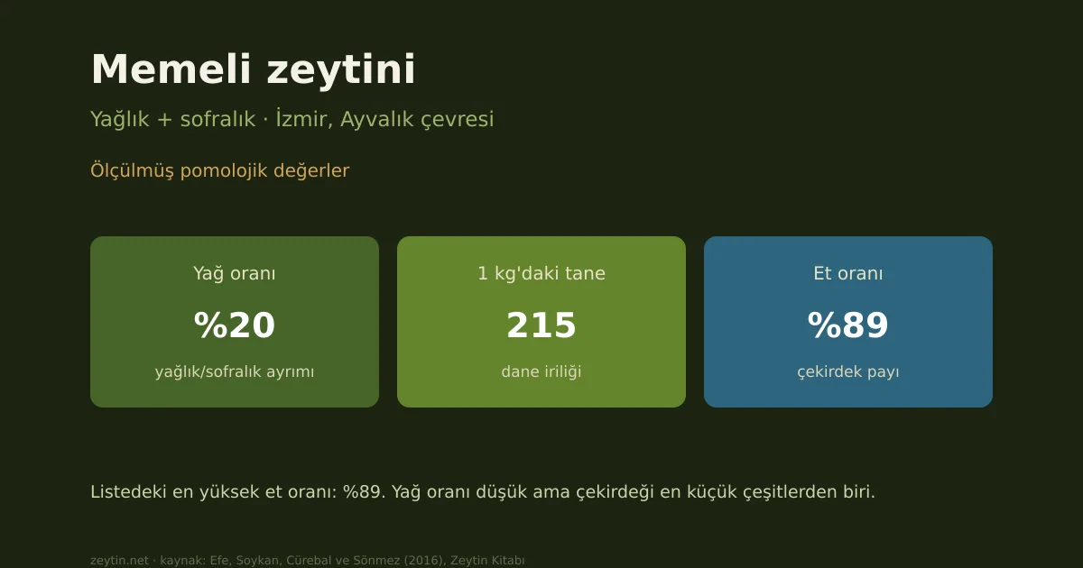 Memeli zeytini: özellikleri, yağ oranı ve yöreleri
