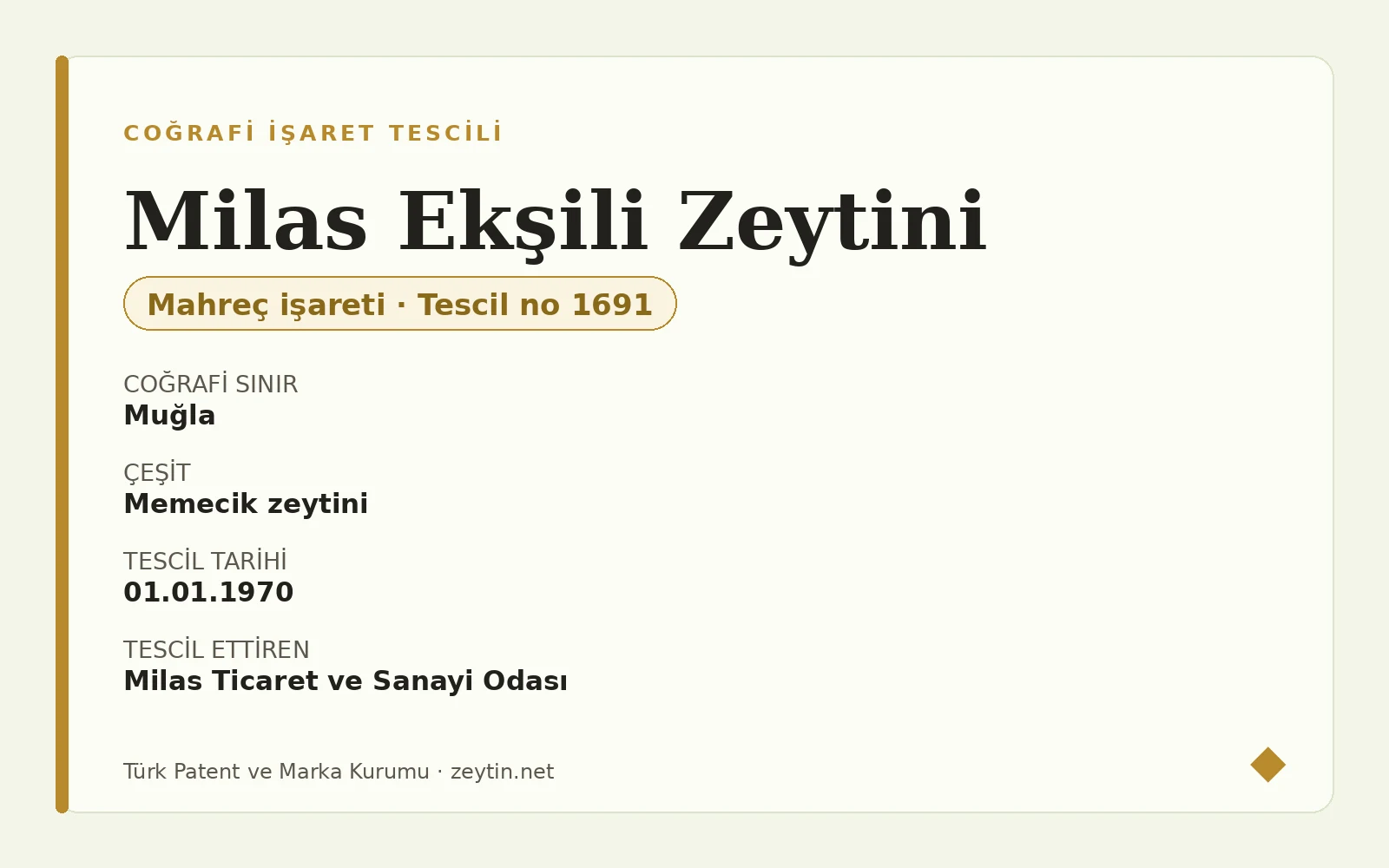 Milas Ekşili Olive: a table olive lightened with lemon Milas Ekşili Olive: a table olive lightened with lemon