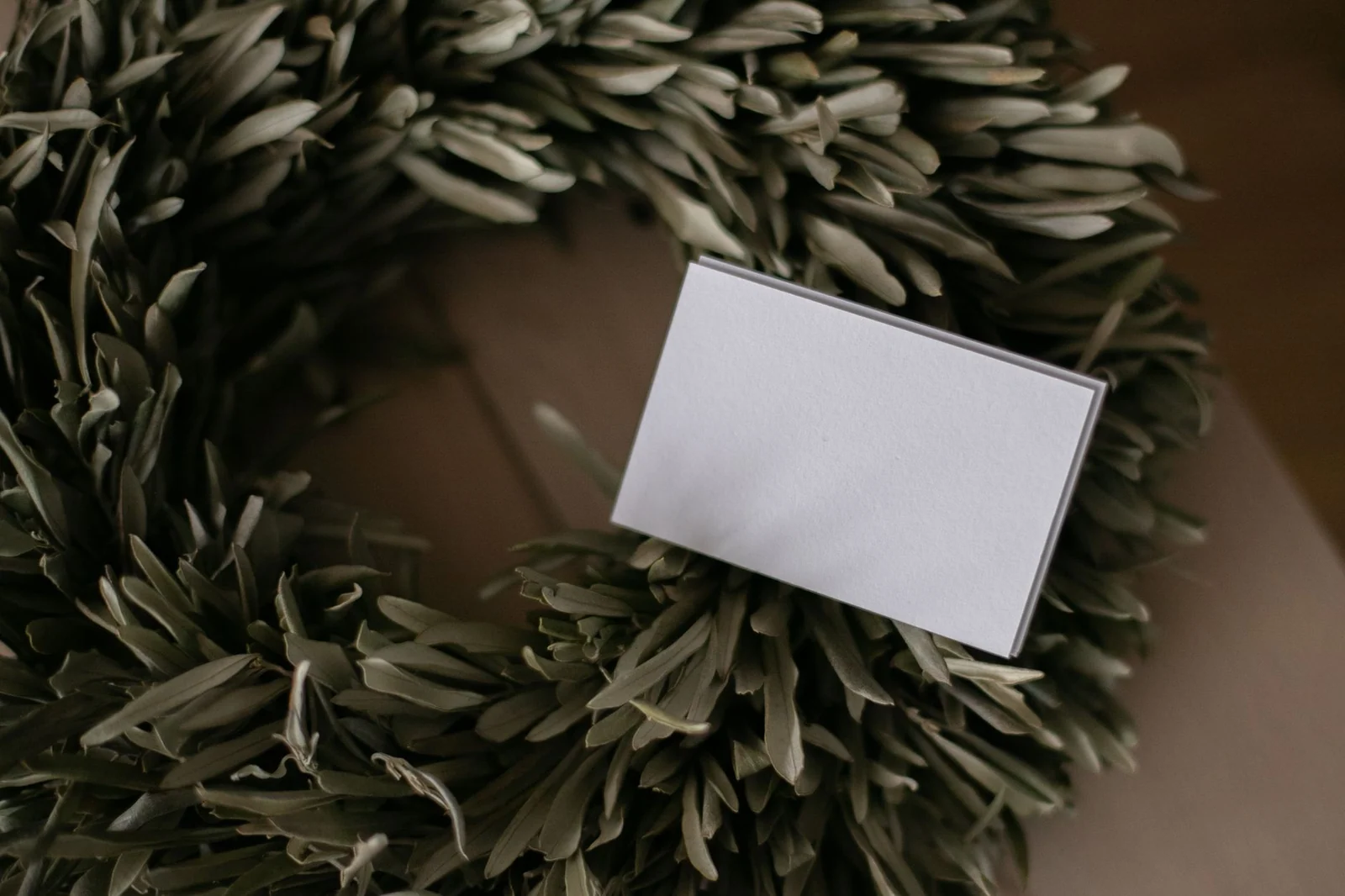 The olive in mythology: from Athena's gift to Noah's dove