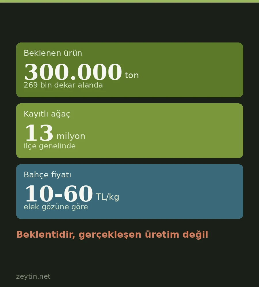 Harvest opens in Mut: 300,000 tonnes expected, orchard prices start at 10 lira