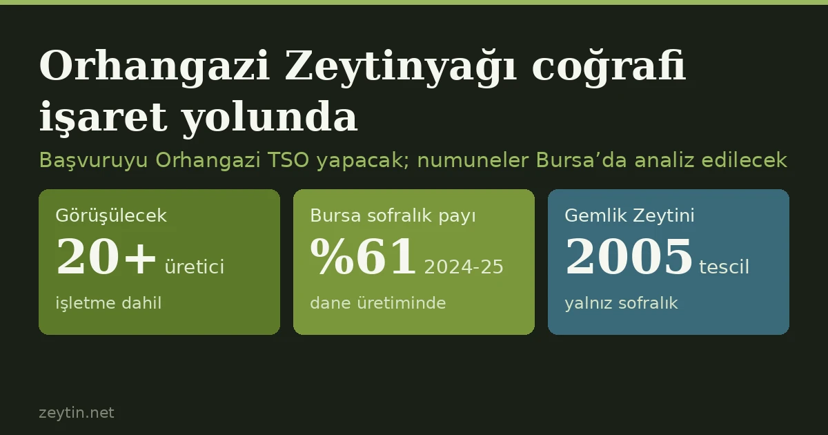 Orhangazi Zeytinyağı için coğrafi işaret hazırlığı başladı: numuneler asitlik ve polifenol için analiz edilecek