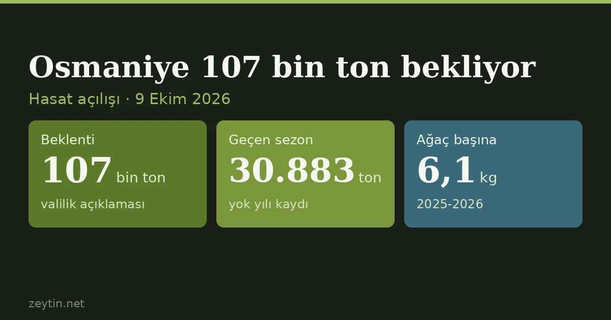 Osmaniye expects 107,000 tonnes: 3.5 times last season, in line with on-year averages