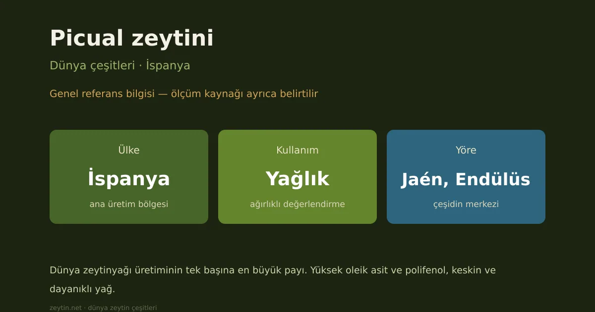 Picual zeytini: İspanya'nın yağlık çeşidi