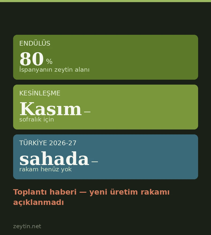 "Bu rakam kasıma kadar kesin değil": Endülüs'te üretici rekolte tahminine itiraz etti