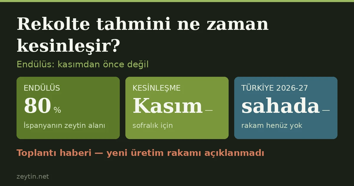 "Bu rakam kasıma kadar kesin değil": Endülüs'te üretici rekolte tahminine itiraz etti
