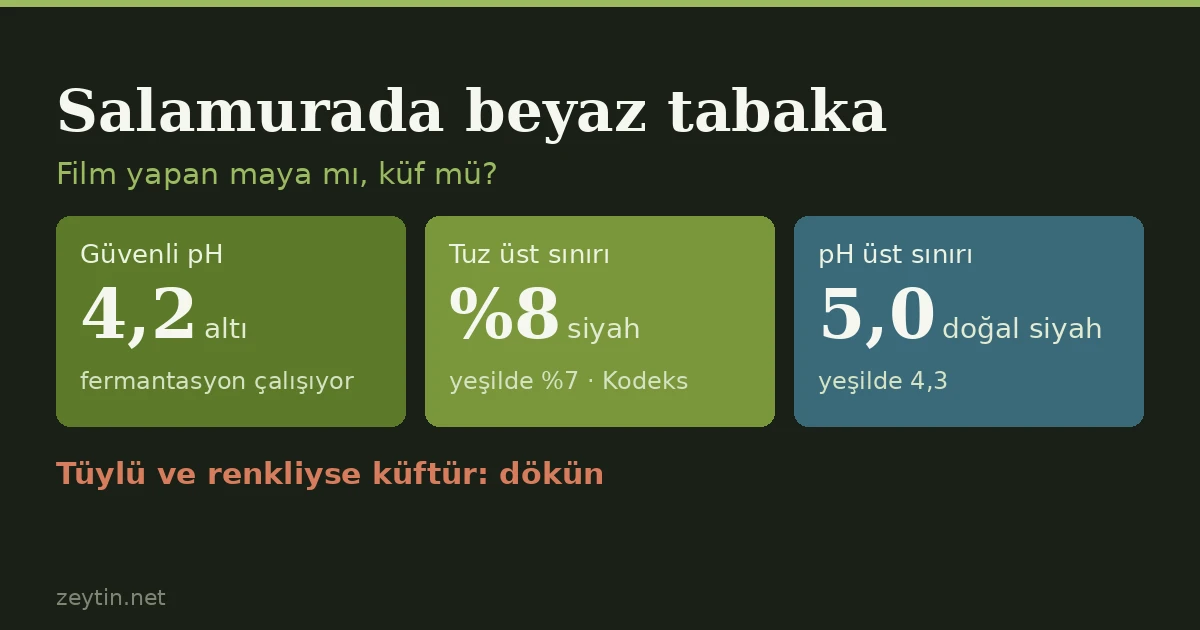 Salamuranın üstündeki beyaz tabaka: küf mü, maya mı?