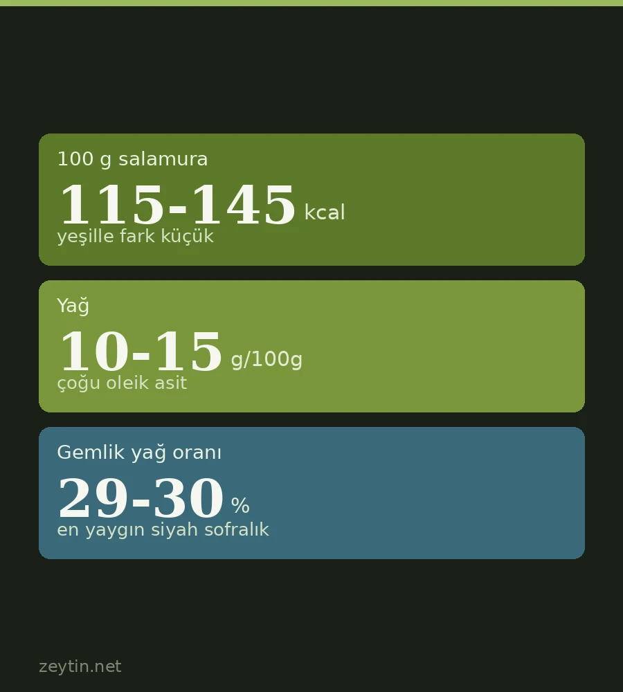 Siyah Zeytin Nedir? Faydaları Nelerdir?