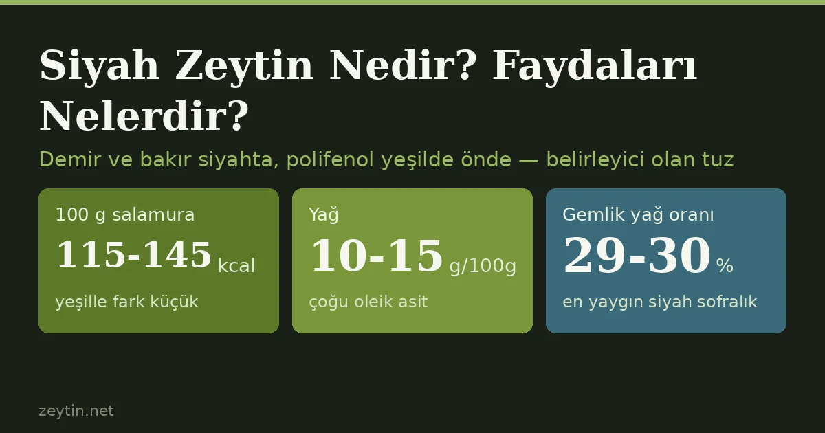 Siyah Zeytin Nedir? Faydaları Nelerdir?
