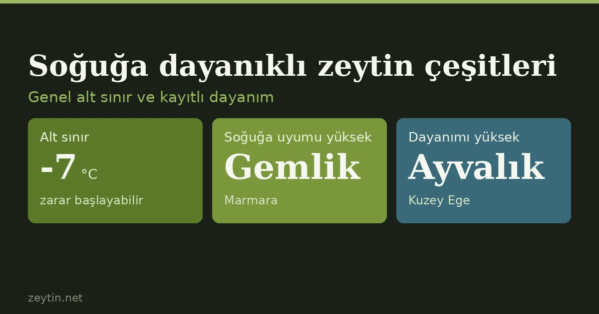 Cold-hardy olive varieties: Gemlik, Ayvalık and the other candidates in the data