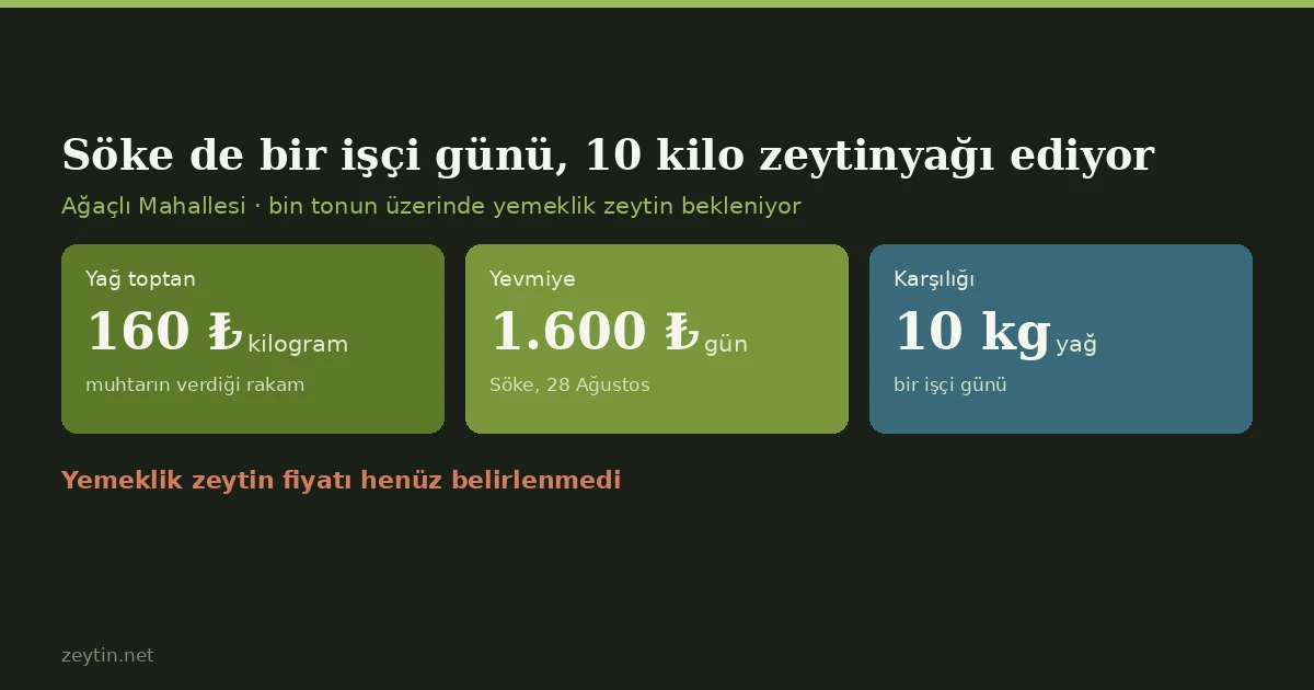 In Söke, one day's wage costs ten kilos of olive oil
