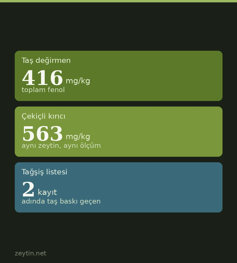 Taş baskı zeytinyağı nedir? Taş değirmen, pres ve etiketteki karşılığı