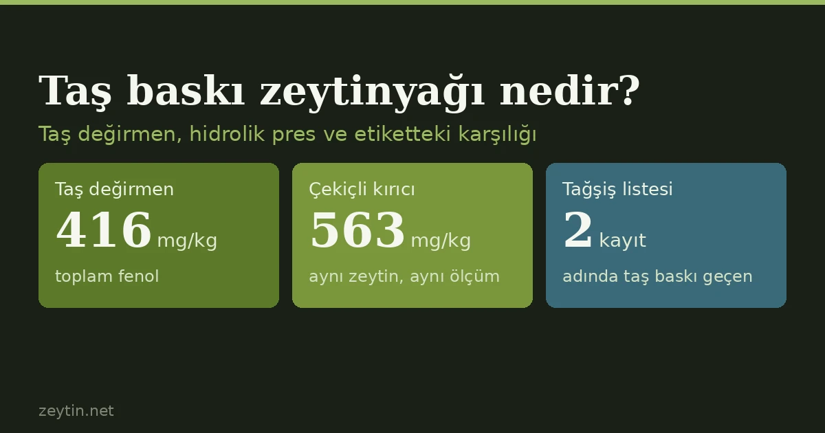 Taş baskı zeytinyağı nedir? Taş değirmen, pres ve etiketteki karşılığı