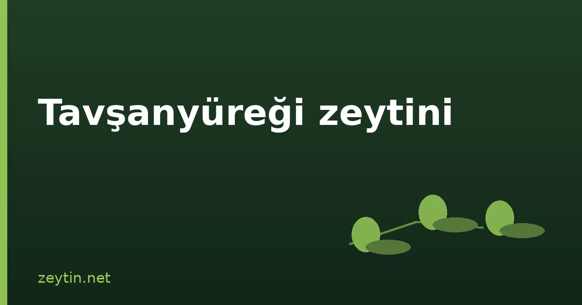 Tavşanyüreği olive