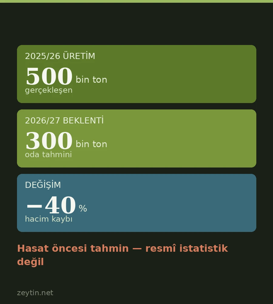 Tunus üretimi 500 binden 300 bin tona: gelir aynı kalabilir