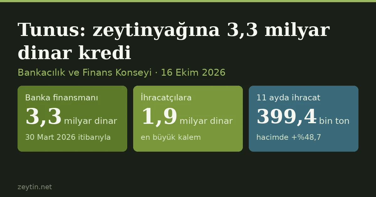 Tunus bankaları zeytinyağı sezonuna 3,3 milyar dinar açtı; 2027 bütçesi dökme ihracat resminden sektör fonu kuruyor