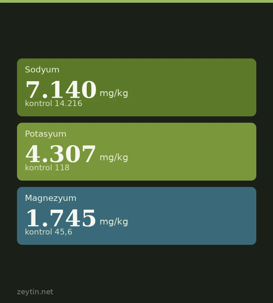 Table olives with half the salt: potassium, calcium and magnesium instead of sodium