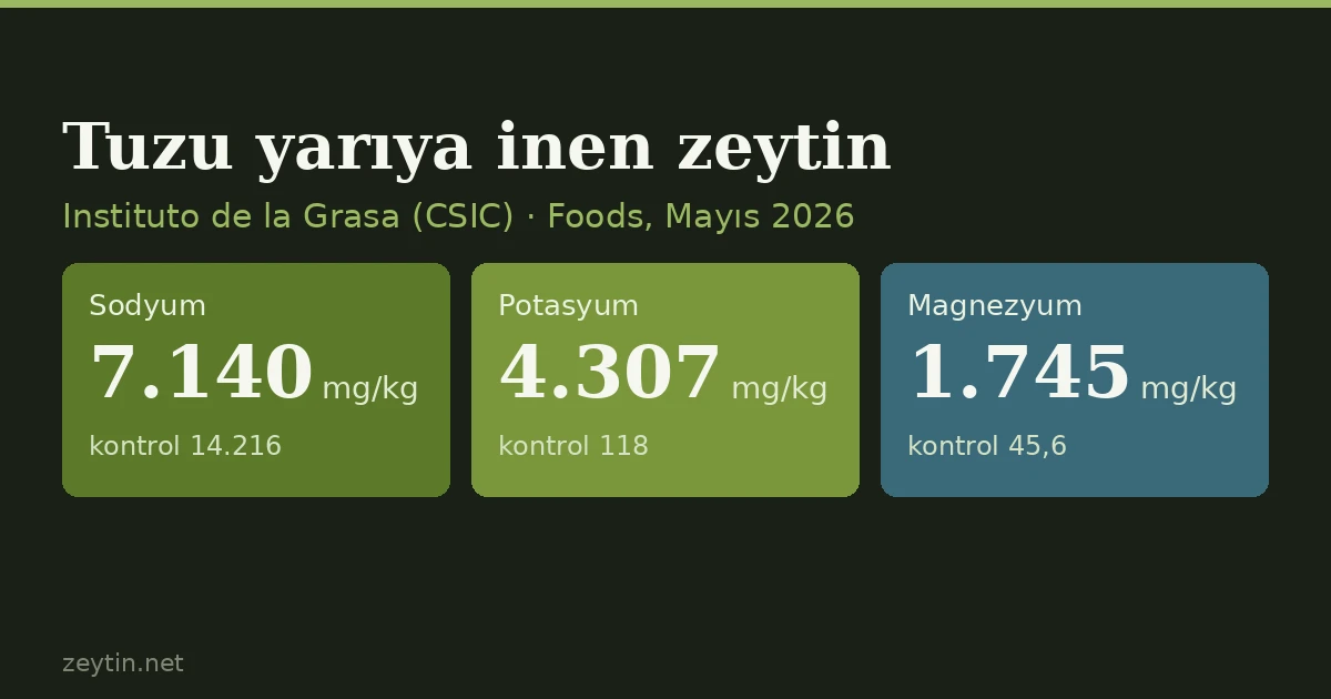 Tuzu yarıya inen sofralık zeytin: sodyum yerine potasyum, kalsiyum, magnezyum