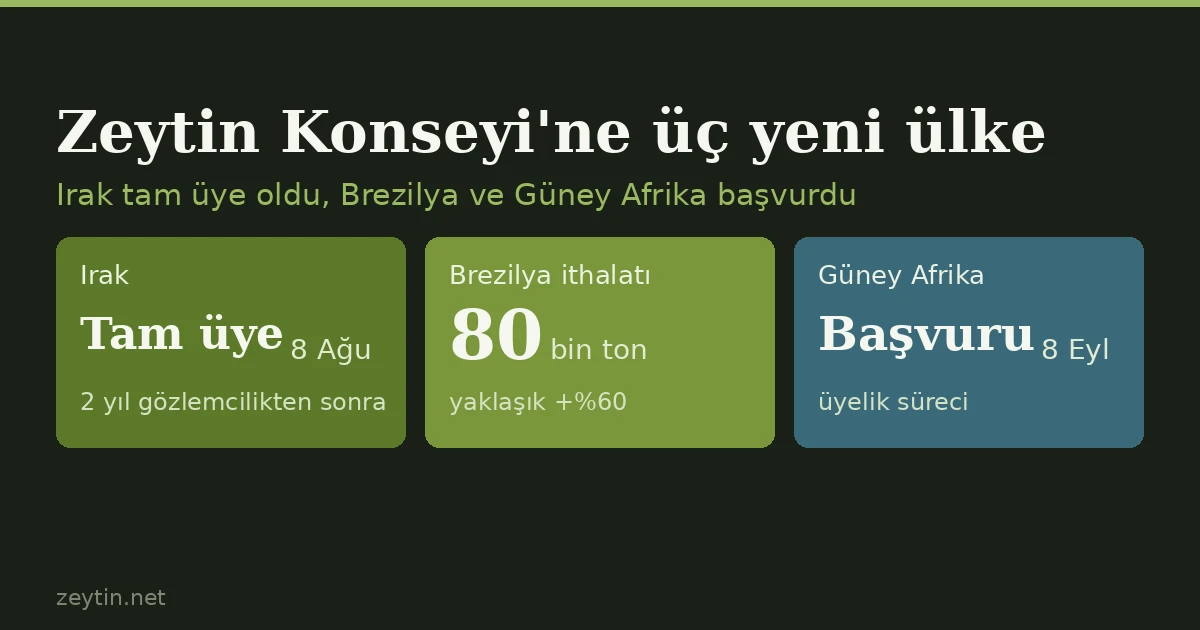Uluslararası Zeytin Konseyi büyüyor: Irak üye oldu, Brezilya ve Güney Afrika başvurdu