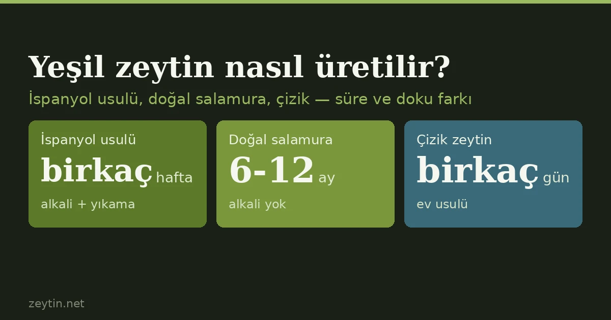 Yeşil zeytin nasıl üretilir? Üç yöntem, üç farklı sonuç