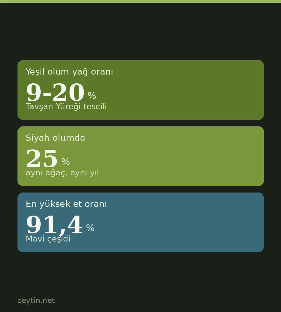 Yeşil zeytin nedir? Siyahtan farkı ne?