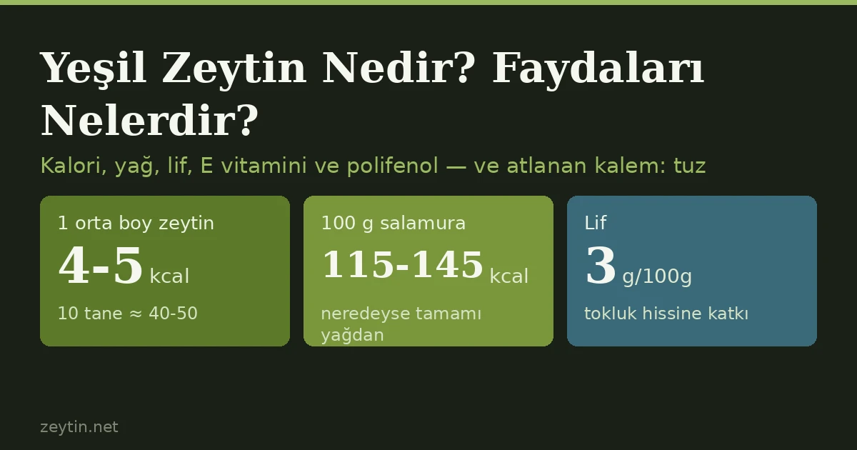 Yeşil Zeytin Nedir? Faydaları Nelerdir?