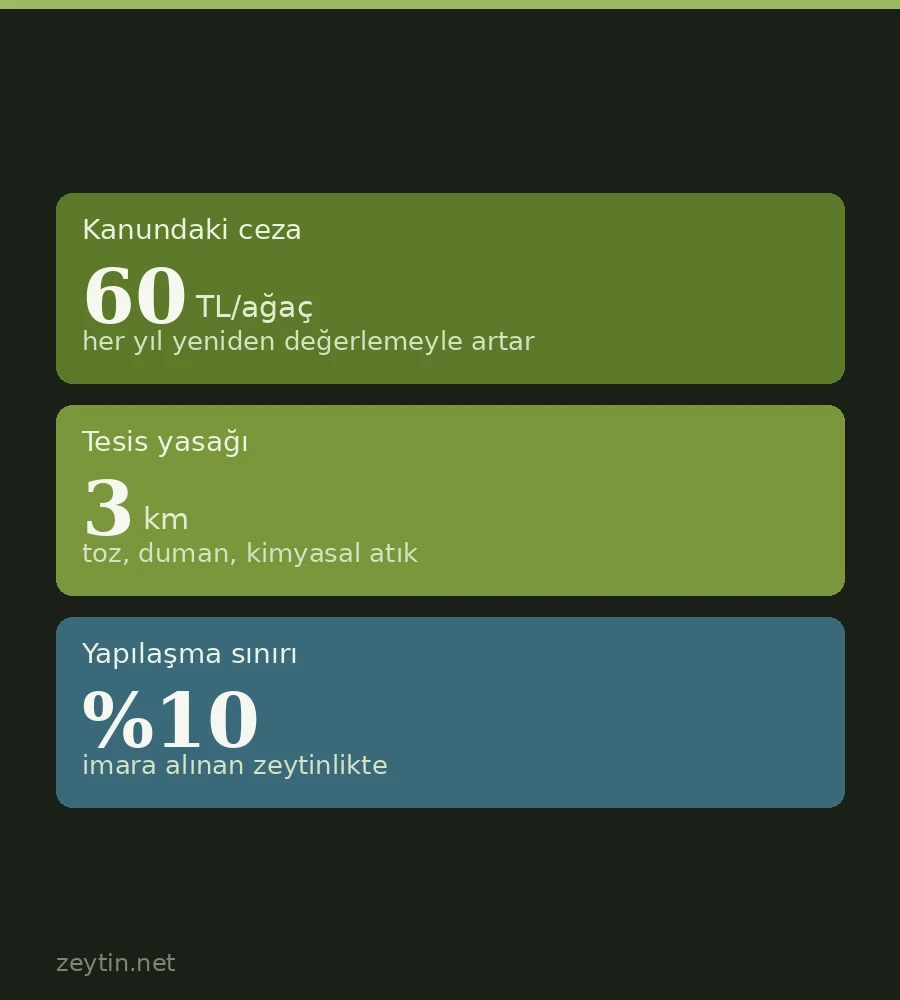 Zeytin ağacı kesmek yasak mı? İzin, üç kilometre kuralı ve ağaç başına ceza