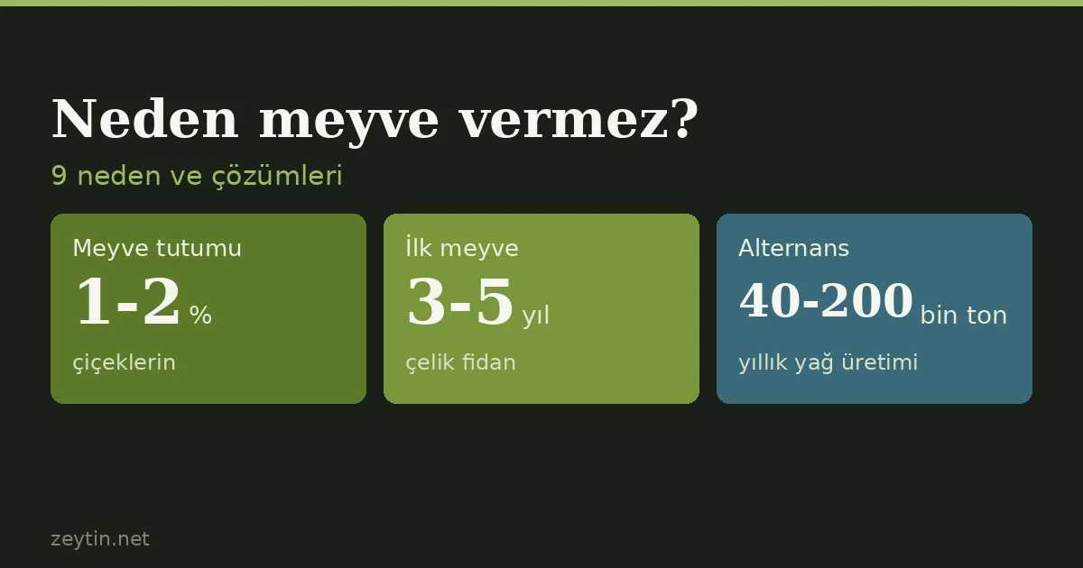 Zeytin ağacı neden meyve vermez? 9 neden ve çözümleri