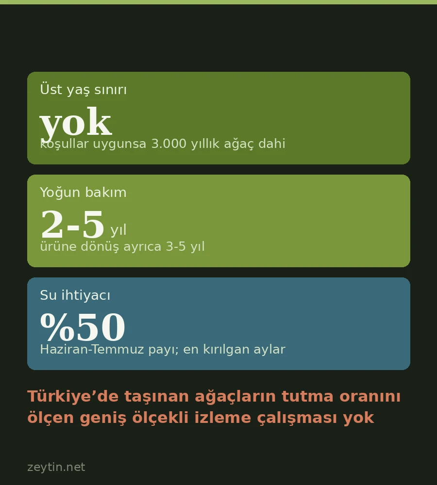 Zeytin ağacı sökülüp taşınabilir mi?