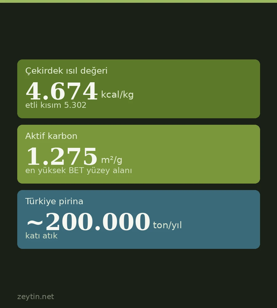 Zeytin çekirdeği ne işe yarar?
