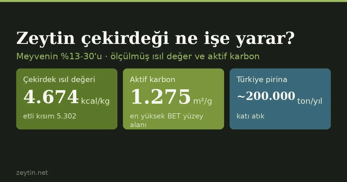Zeytin çekirdeği ne işe yarar?