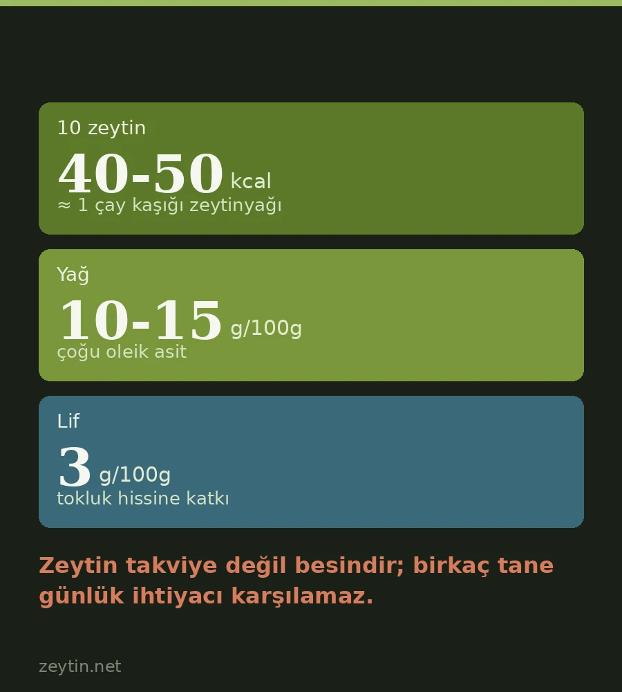 Zeytin Faydaları Nelerdir? Neyi Ne Kadar Sağlar?