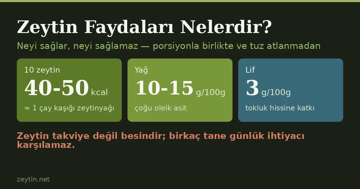 Zeytin Faydaları Nelerdir? Neyi Ne Kadar Sağlar?