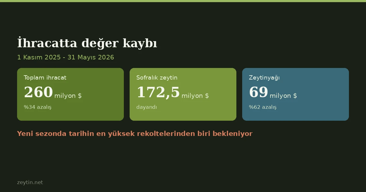 Zeytinyağı ihracatı değer bazında %62 geriledi, yeni sezonda rekor rekolte bekleniyor