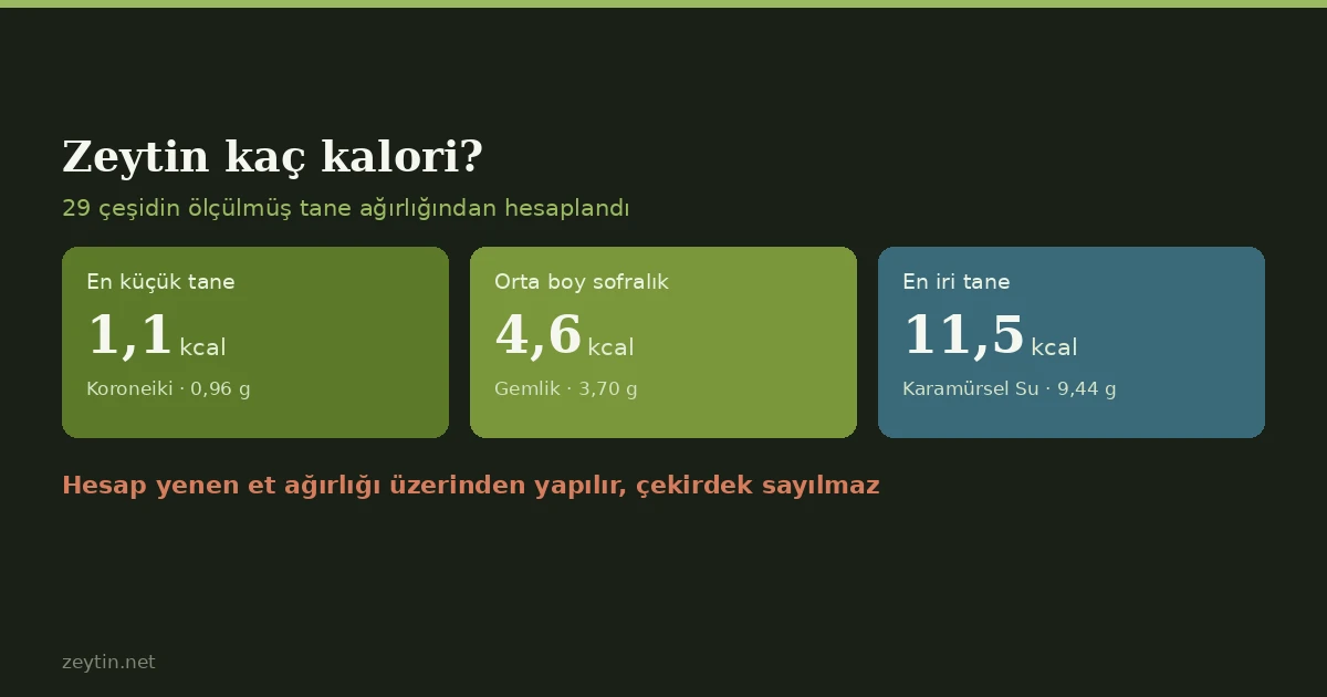 Zeytin kaç kalori? Tanesi, porsiyonu ve çeşide göre Zeytin kaç kalori? Tanesi, porsiyonu ve çeşide göre