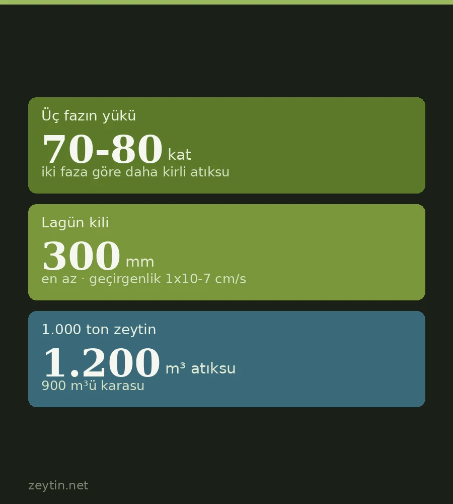 Zeytin karasuyu nereye dökülür? Lagün şartları ve iki faz seçeneği