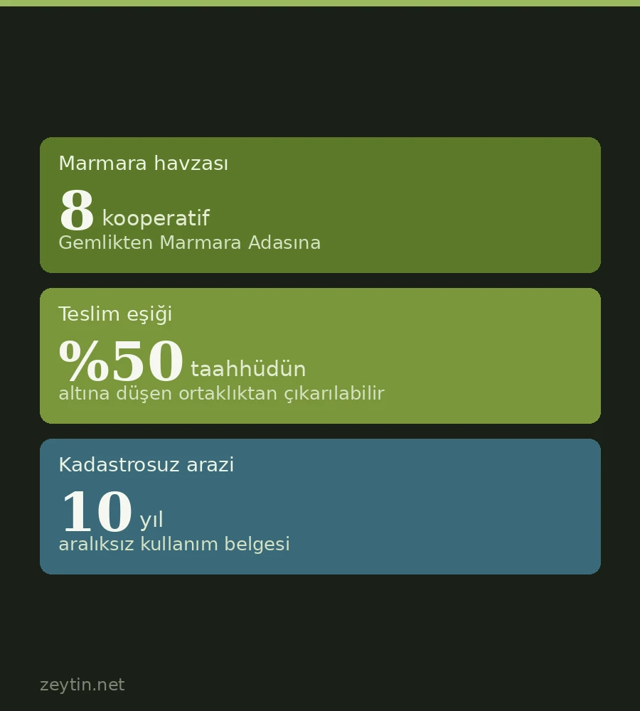 How do you become a member of an olive cooperative?