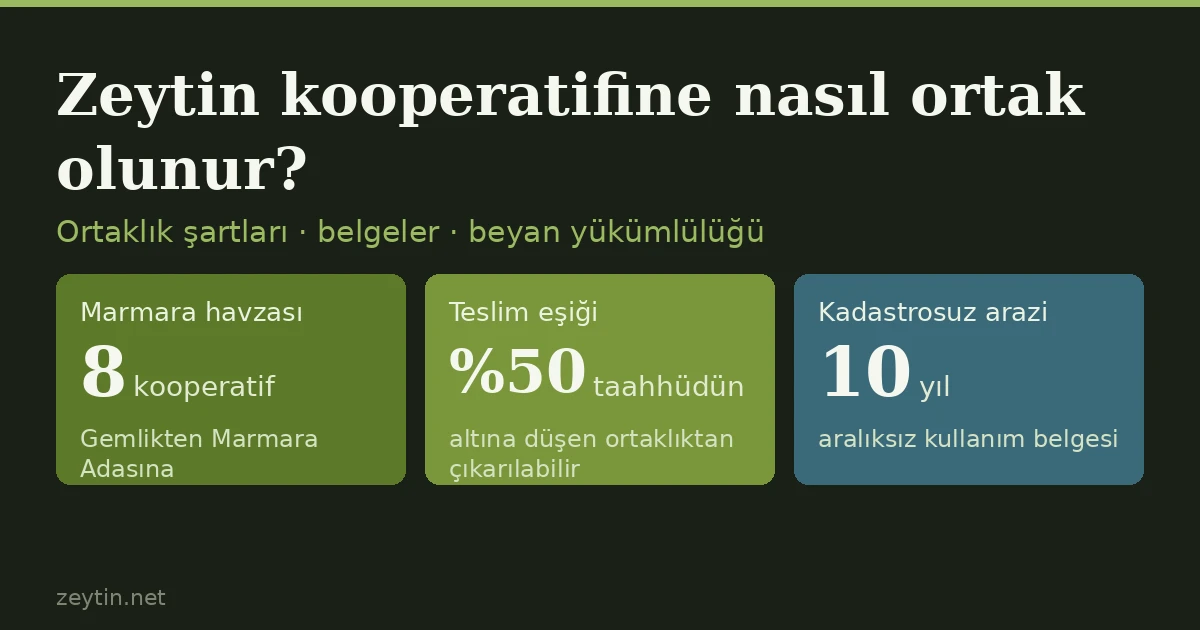 How do you become a member of an olive cooperative?