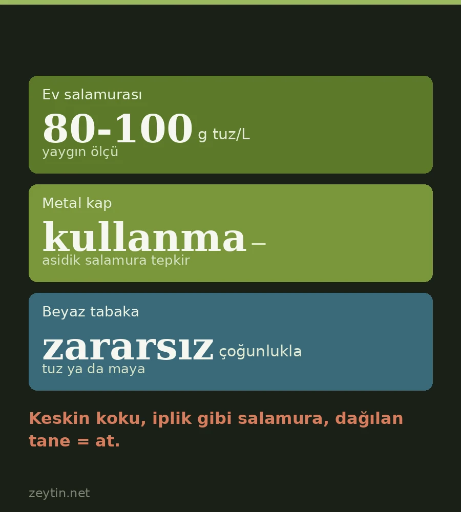 Zeytin Nasıl Saklanır? Açılmış Kavanozdan Kışlık Salamuraya