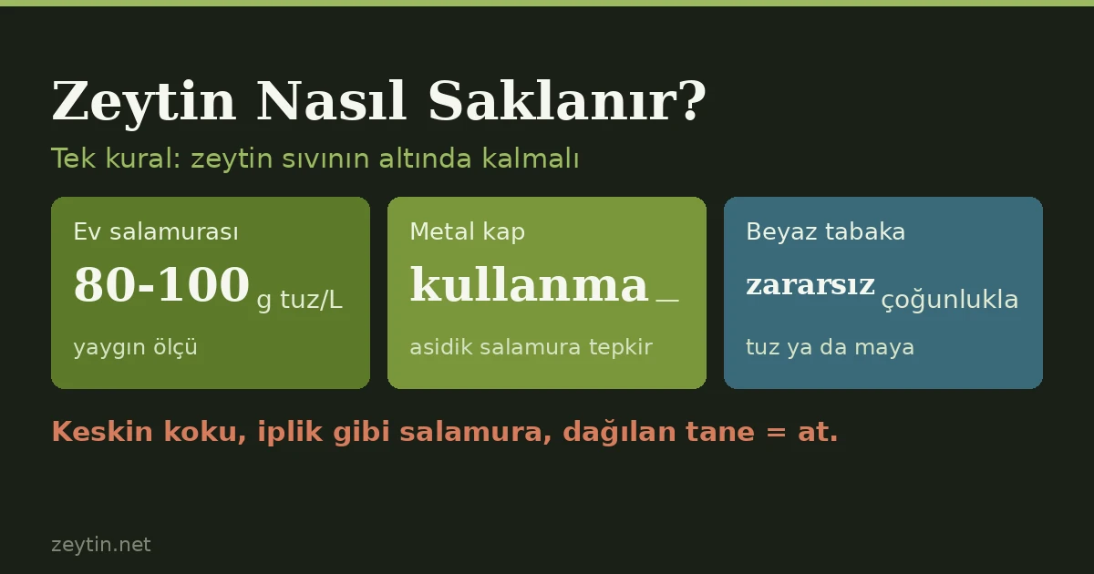 Zeytin Nasıl Saklanır? Açılmış Kavanozdan Kışlık Salamuraya