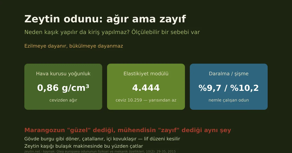 Zeytin odunu: neden kaşık yapılır da kiriş yapılmaz?
