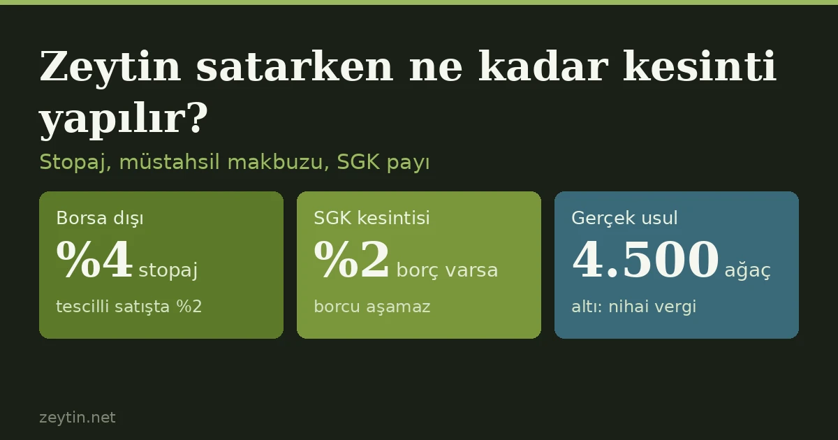 Zeytin satarken ne kadar kesinti yapılır? Stopaj, müstahsil makbuzu ve SGK payı
