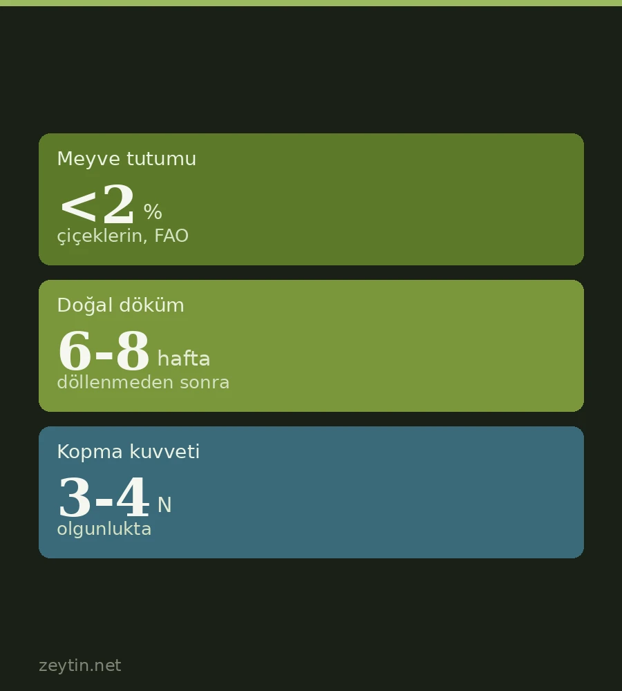 Why do olives drop from the tree before harvest?