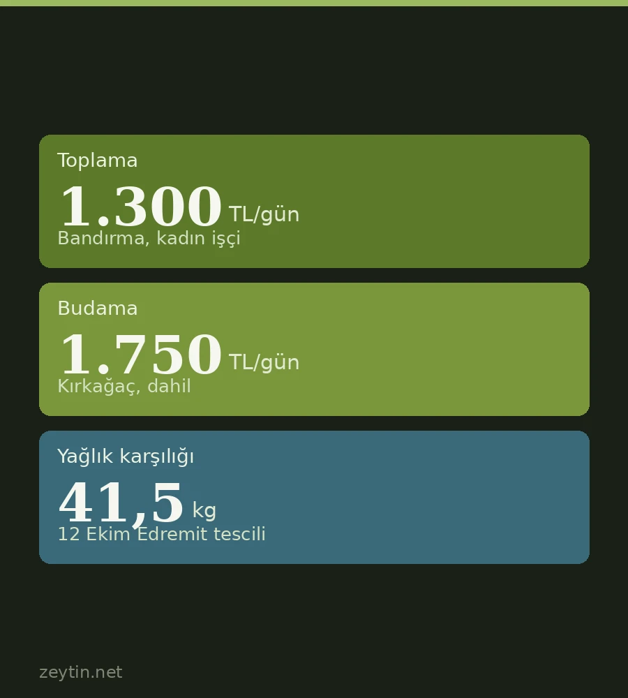 Zeytin toplama ve budama yevmiyesi 2026 ne kadar?