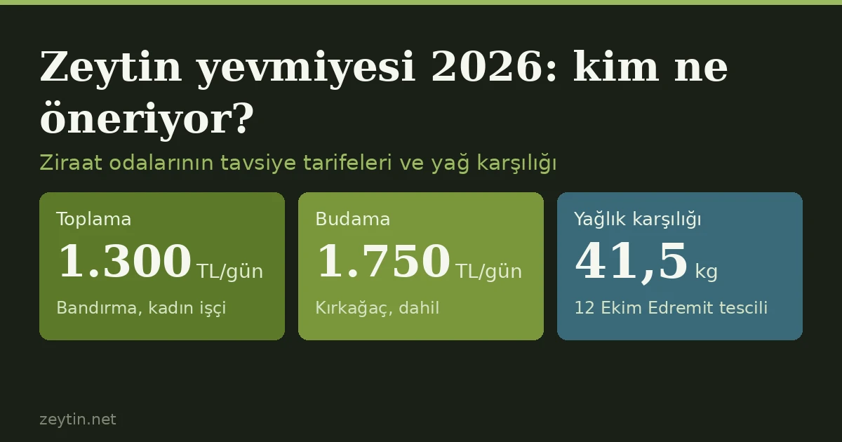 Zeytin toplama ve budama yevmiyesi 2026 ne kadar?