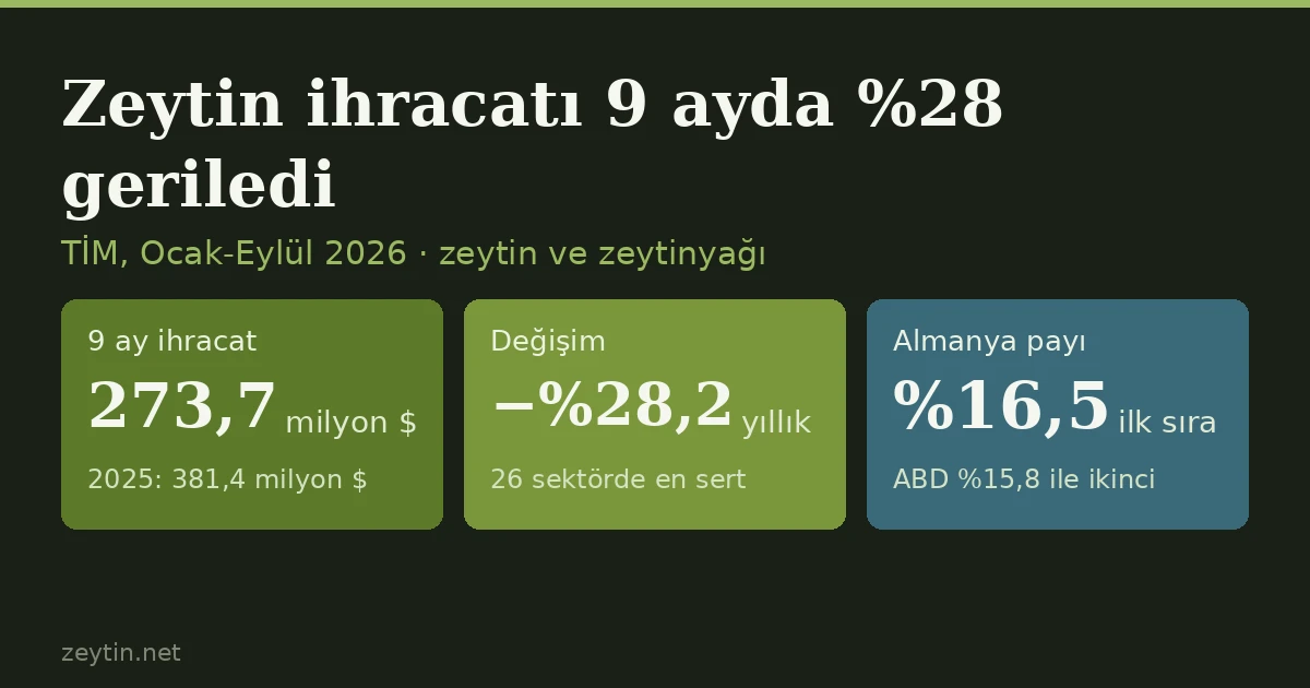 Zeytin ve zeytinyağı ihracatı 9 ayda %28 geriledi: Almanya ABD'yi geçip ilk sıraya çıktı
