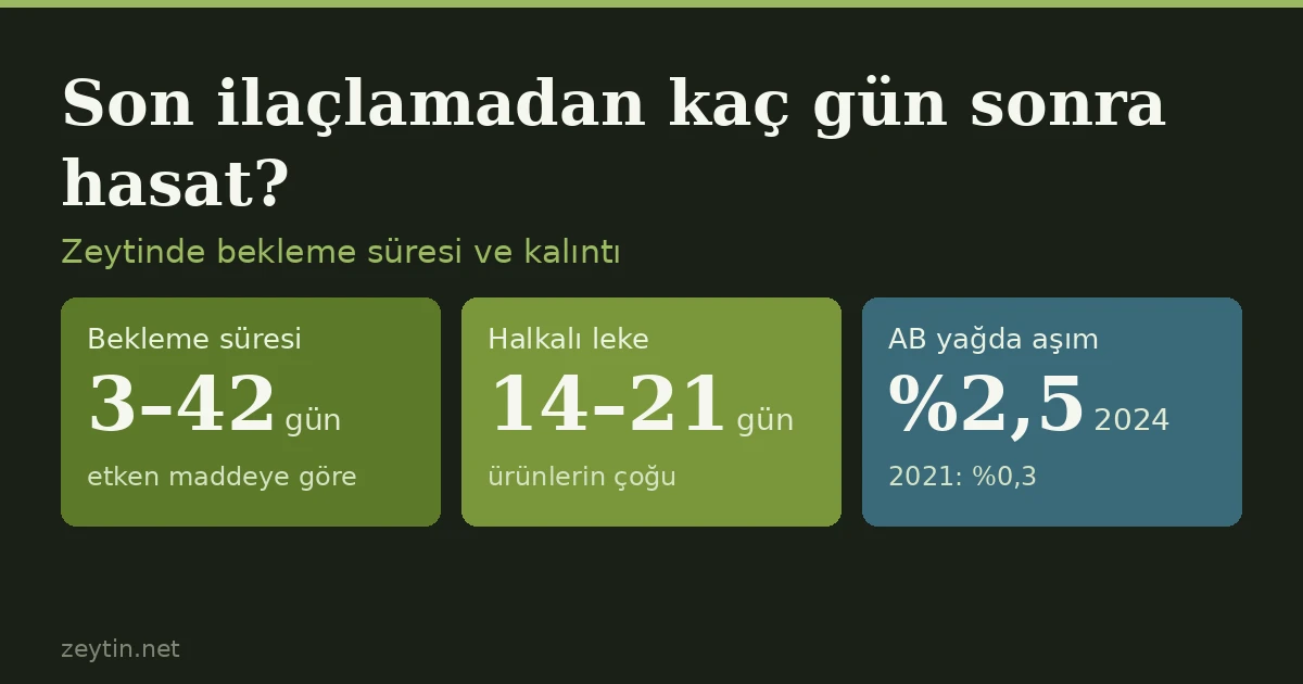 Zeytinde son ilaçlamadan kaç gün sonra hasat yapılır? Bekleme süresi ve kalıntı
