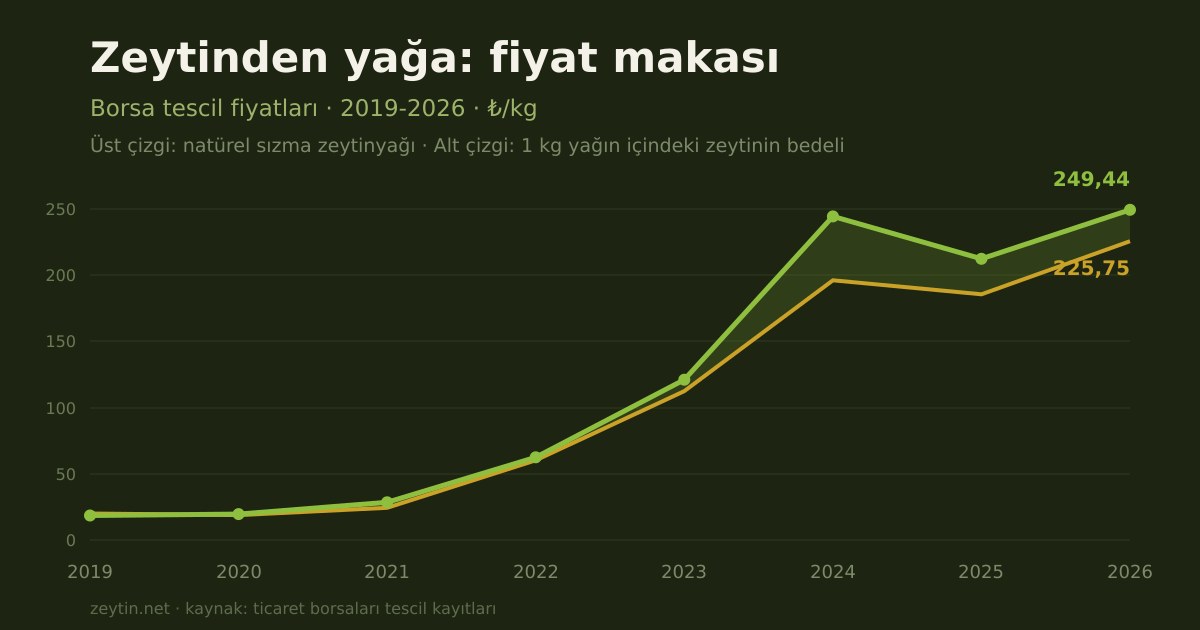 From olive to oil: the price gap, 2019-2026