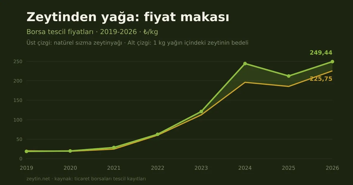 Zeytinden yağa: fiyat makası 2019-2026